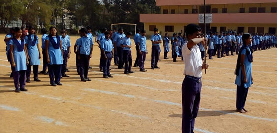dumlur2